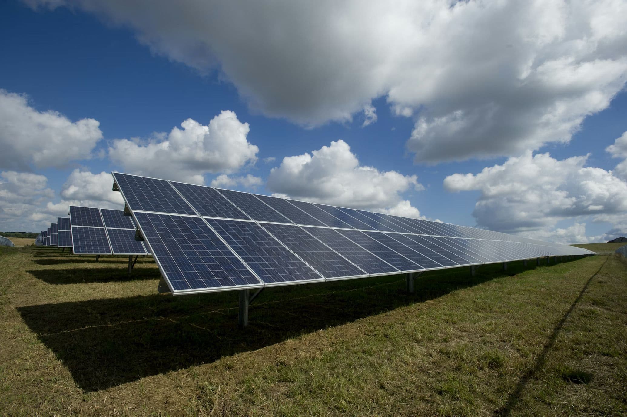 Solar panels filling the sky