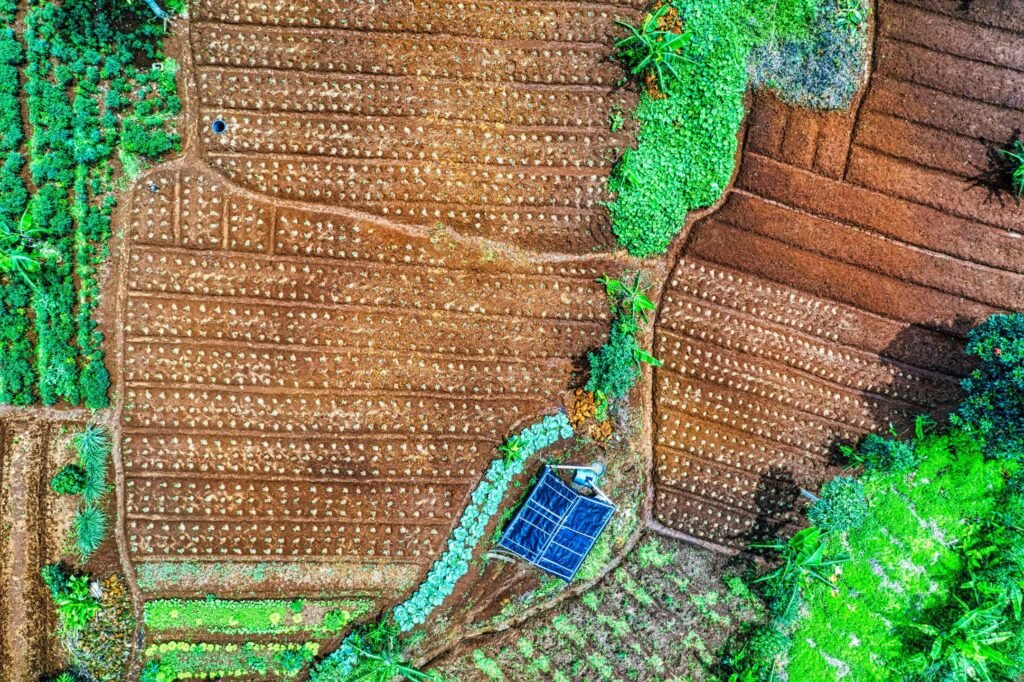 off-grid solar
